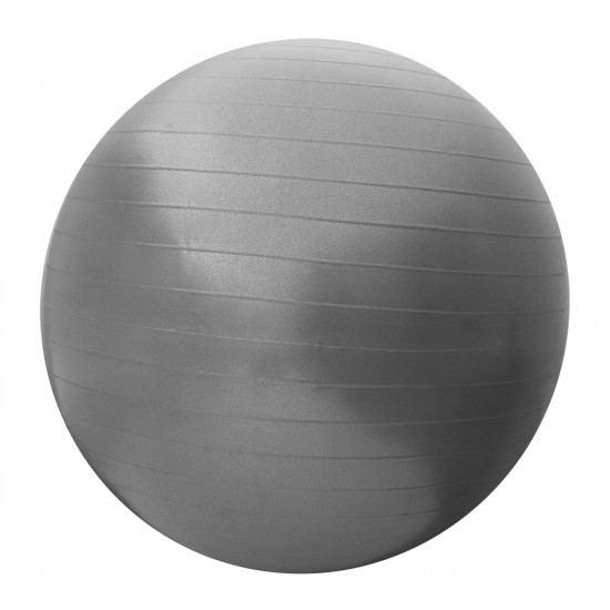 Купить Фитбол  SportVida 55 cm Anti-Burst SV-HK0286 Grey в Киеве - фото №1
